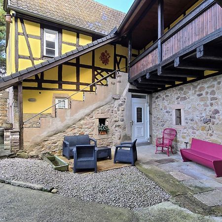 Studio Route Des Vins D 'Alsace Eichhoffen 외부 사진