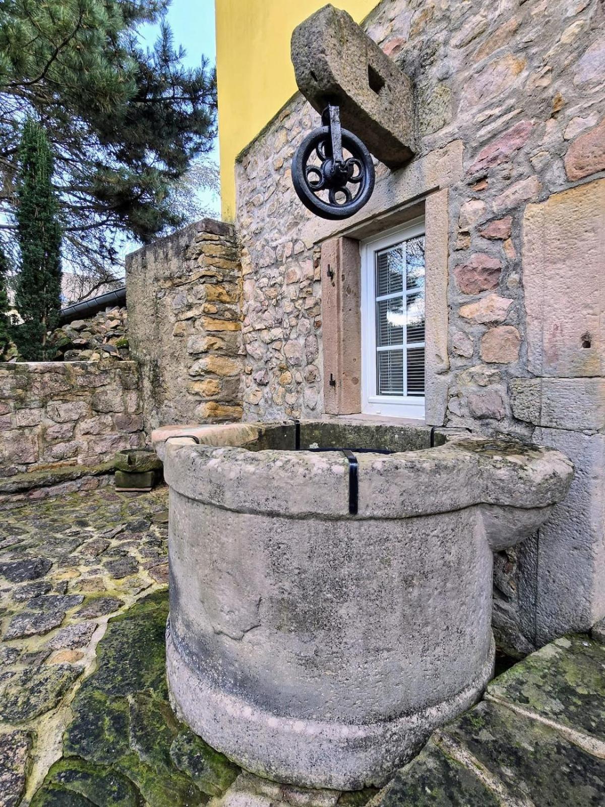 Studio Route Des Vins D 'Alsace Eichhoffen 외부 사진
